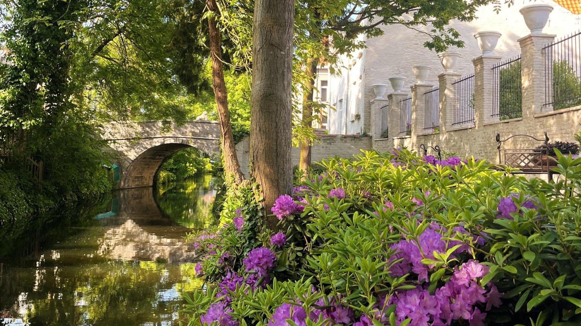 The Notary Bed & Breakfast Bruges